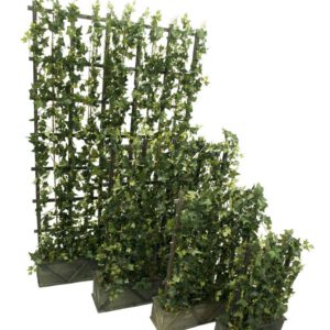 Композиция из плюща 40х60 см [Арт. 3692821] 2
