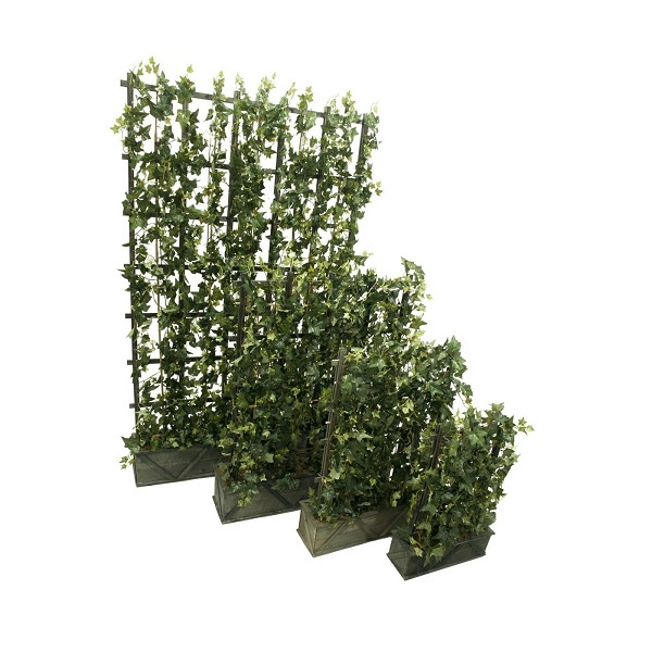 Композиция из плюща 60х80 см [Арт. 3692822] 1