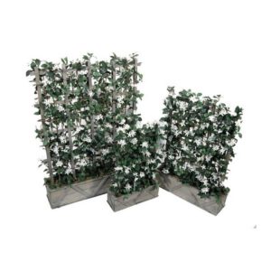 Композия из плюща с жасмином 40х60 см [Арт. 3698821] 1