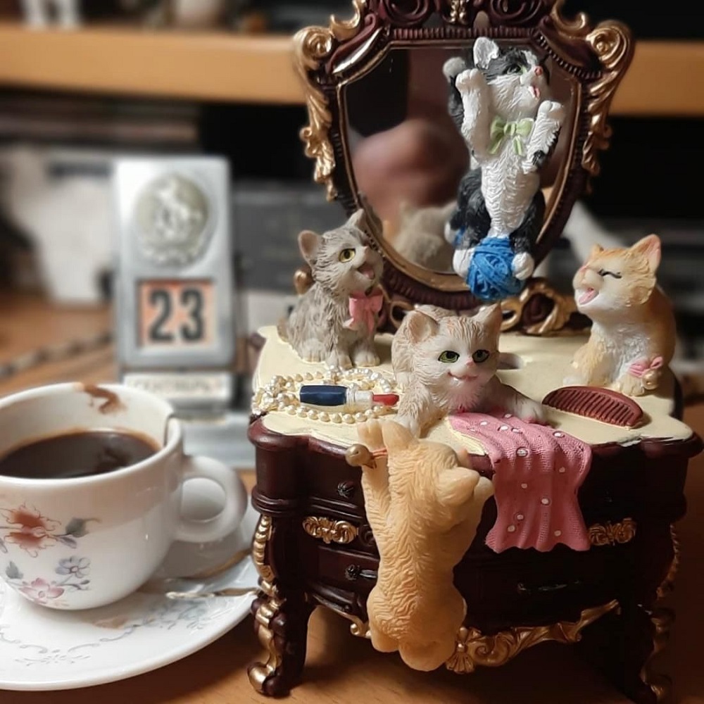 Коты на зеркале, музыкальные 1