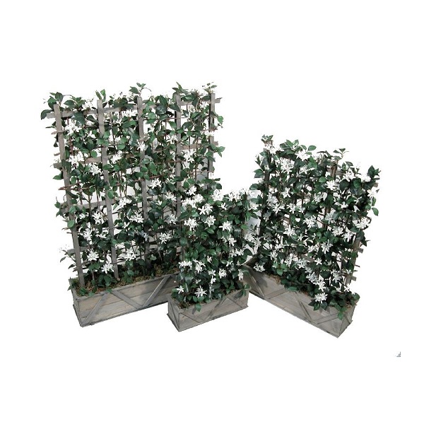 Композия из плюща с жасмином 40х60 см [Арт. 3698821] 1