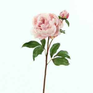 Пион розовый с бутоном [Арт. TSF00373]