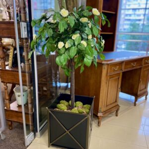 Камелия 110 см